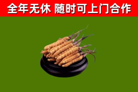 下花园烟酒回收冬虫夏草.jpg