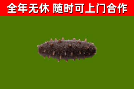 下花园烟酒回收干海参.jpg